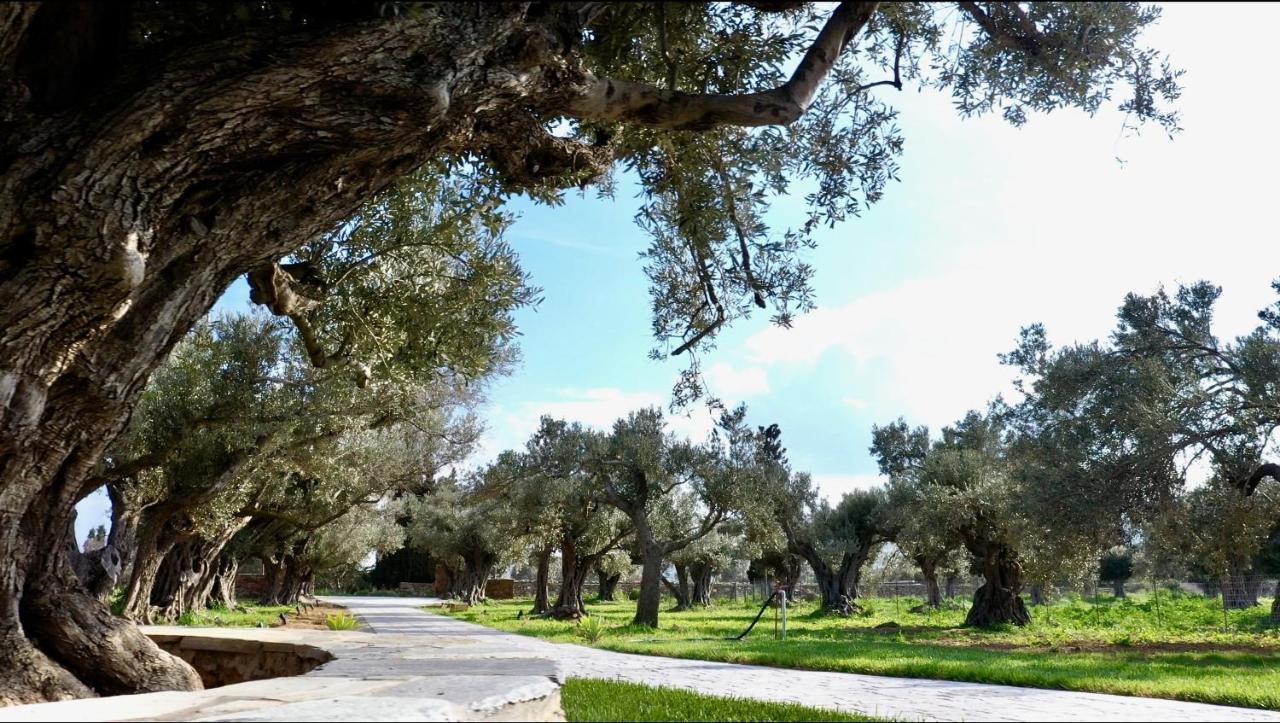 Peristerionas Estate Apartment Karystos  Bagian luar foto